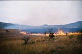Bushfire- Geological mapping in Barberton (R. South Africa)